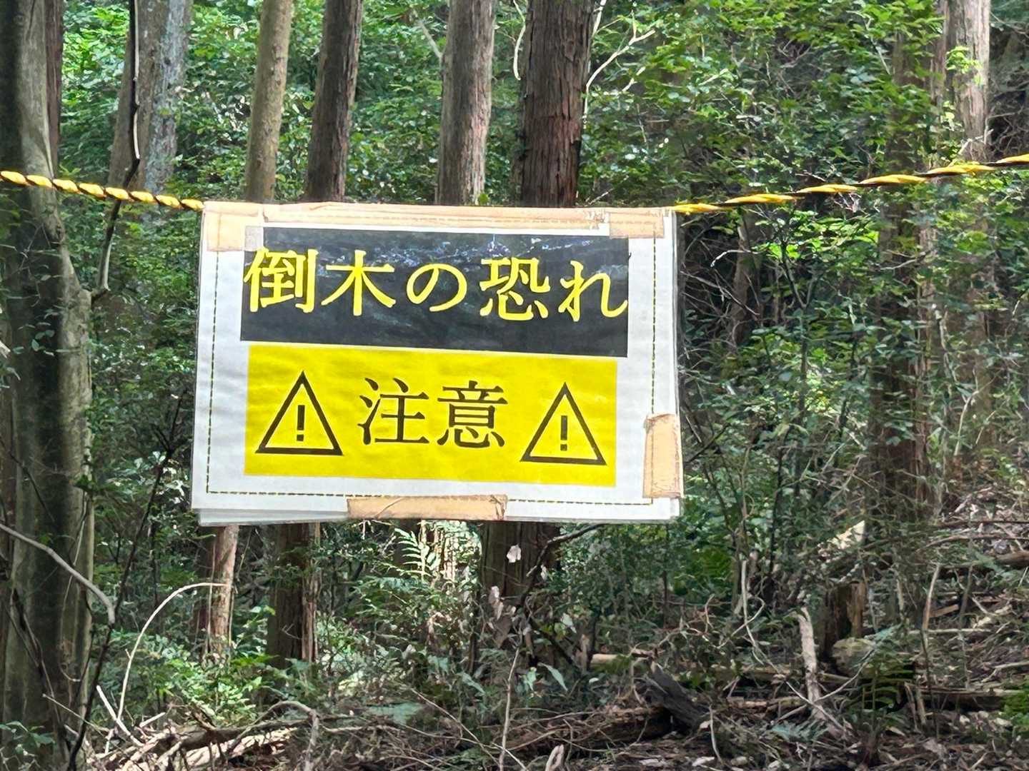 ここだけダッシュ💨💨💨