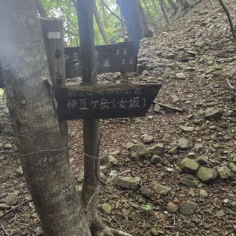 男坂は通行止め女坂を行く