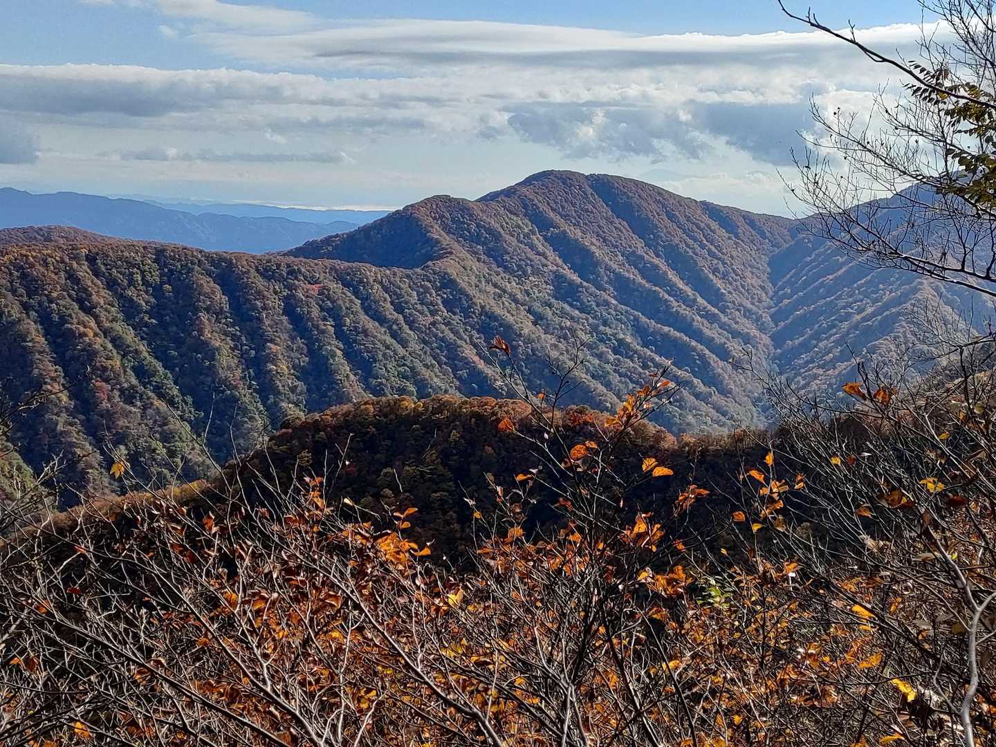 米山（谷根コース登山口）＜谷根コース＞の写真