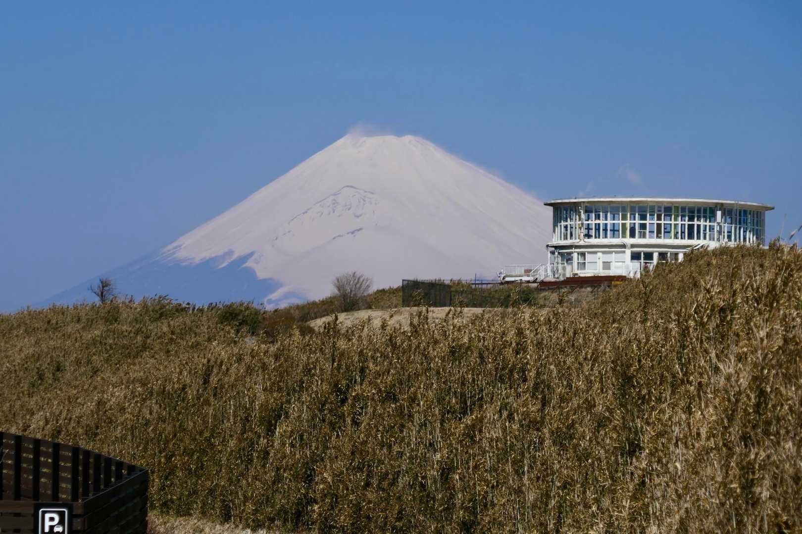 富士山と日金山(十国峠)