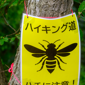一瞬『ハチング道』に見えて（難易度急上昇🐝🚶💨🐝）。引き返そうかと思いました🤣