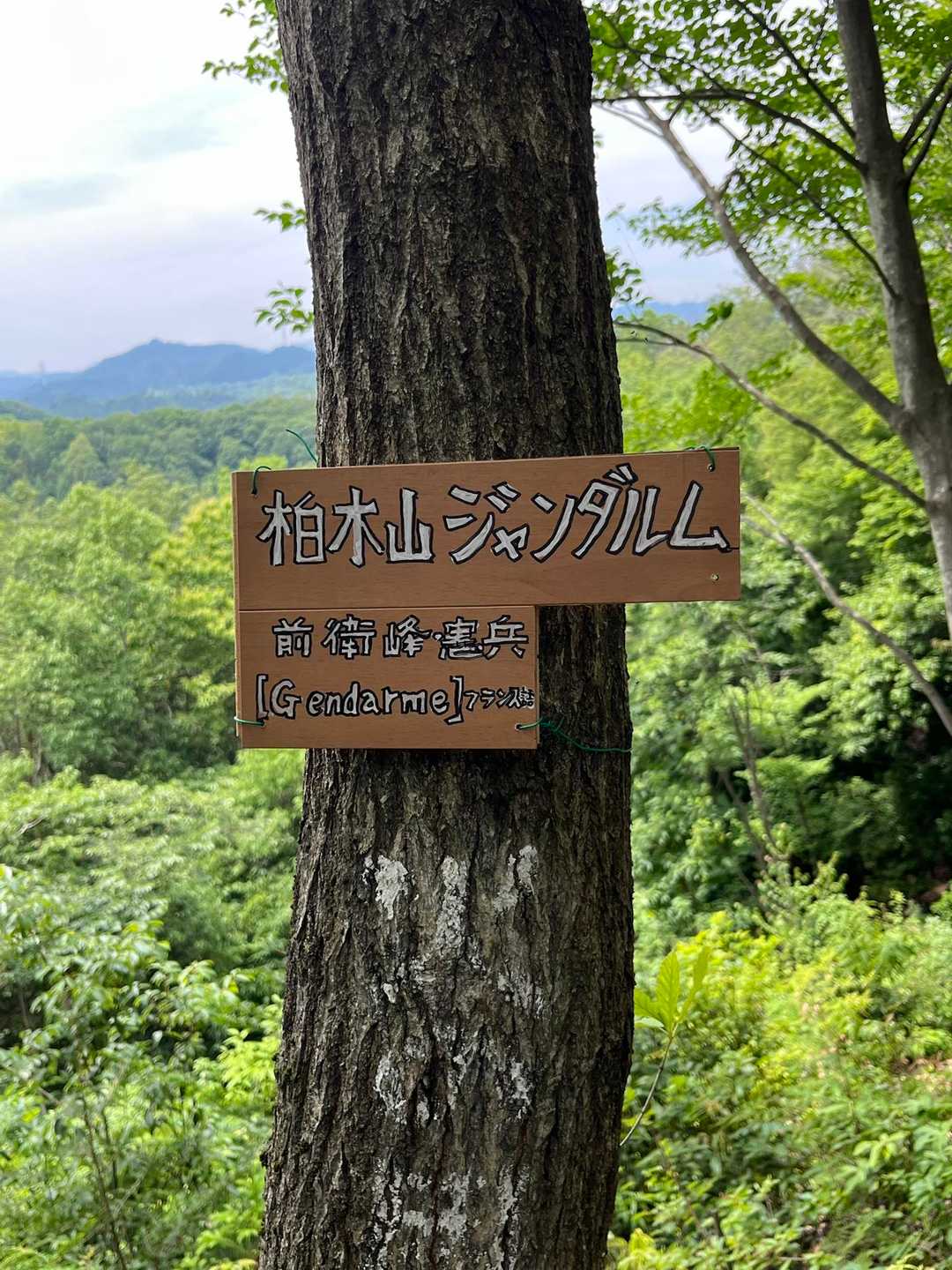 柏木山ジャンダルム？
あのジャンじゃないのか・・・