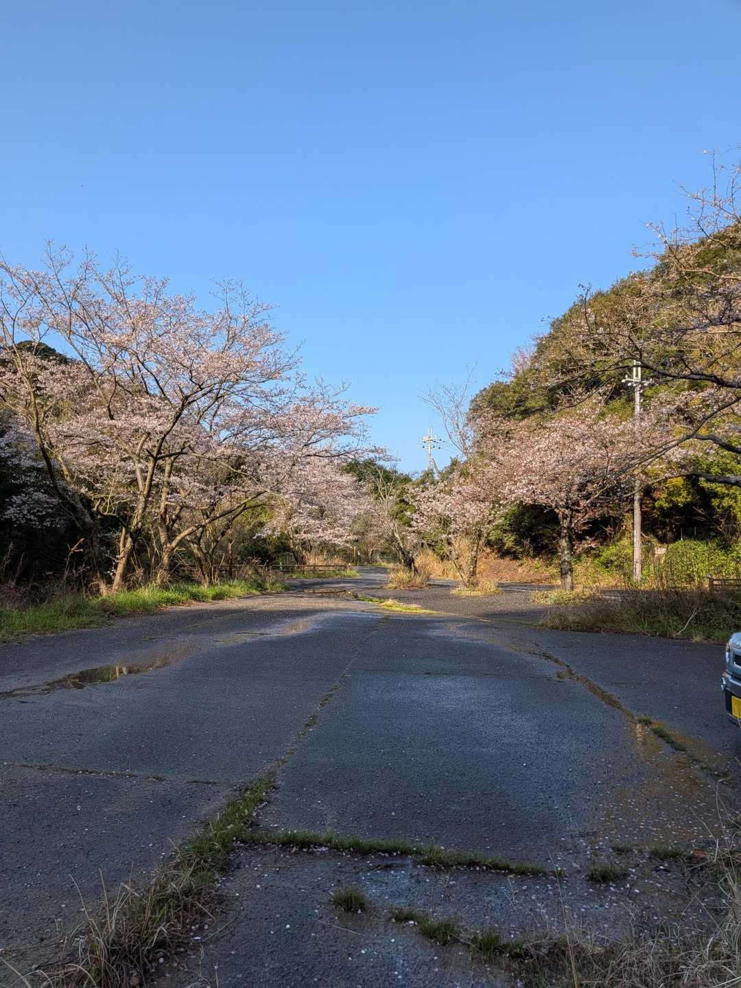 🅿️駐車場この他にもいくつかあります
🚻ここにはおトイレありません
道中 雨が降ってたけど着いたらこの青空
