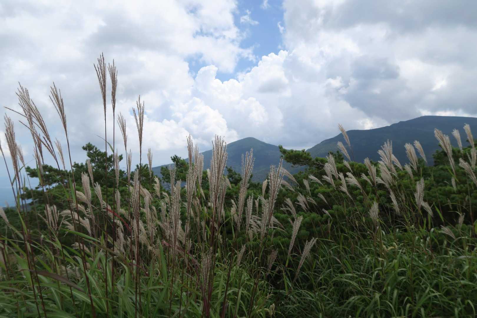 秋の気配