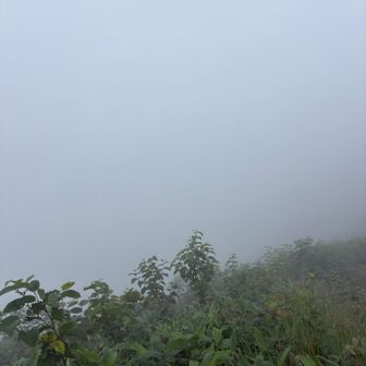 霧はますます濃く