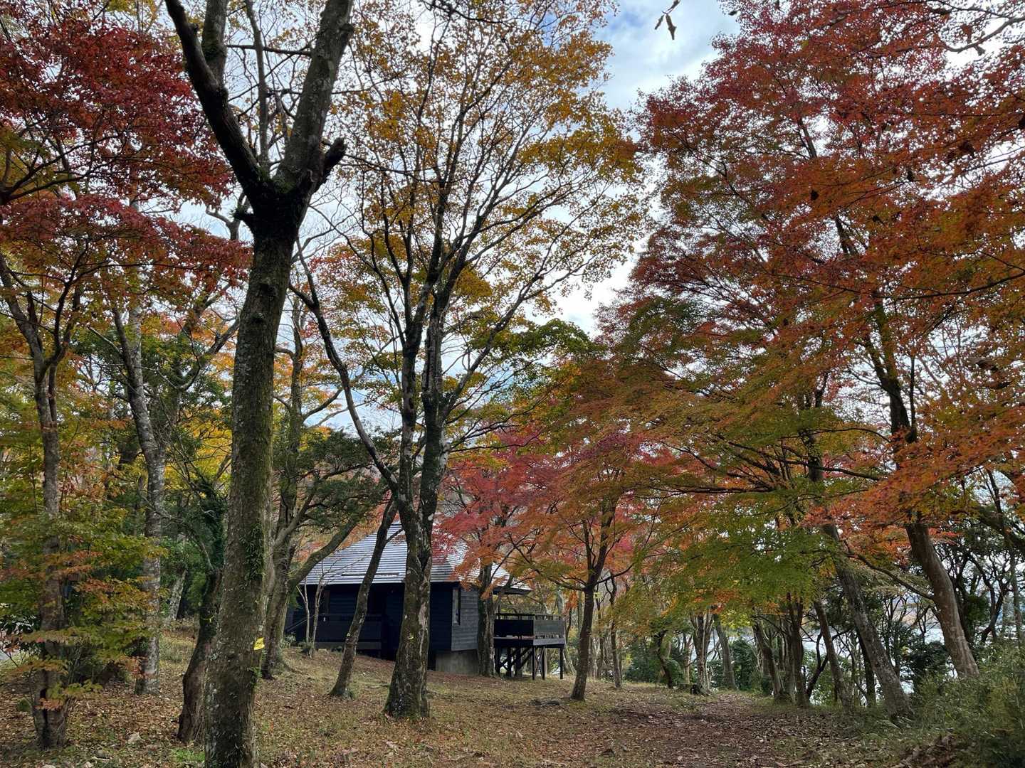とっても雰囲気の良い場所にコテージがあります。こんなところに住んでも良いな。