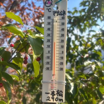 一本松🌡️温度計