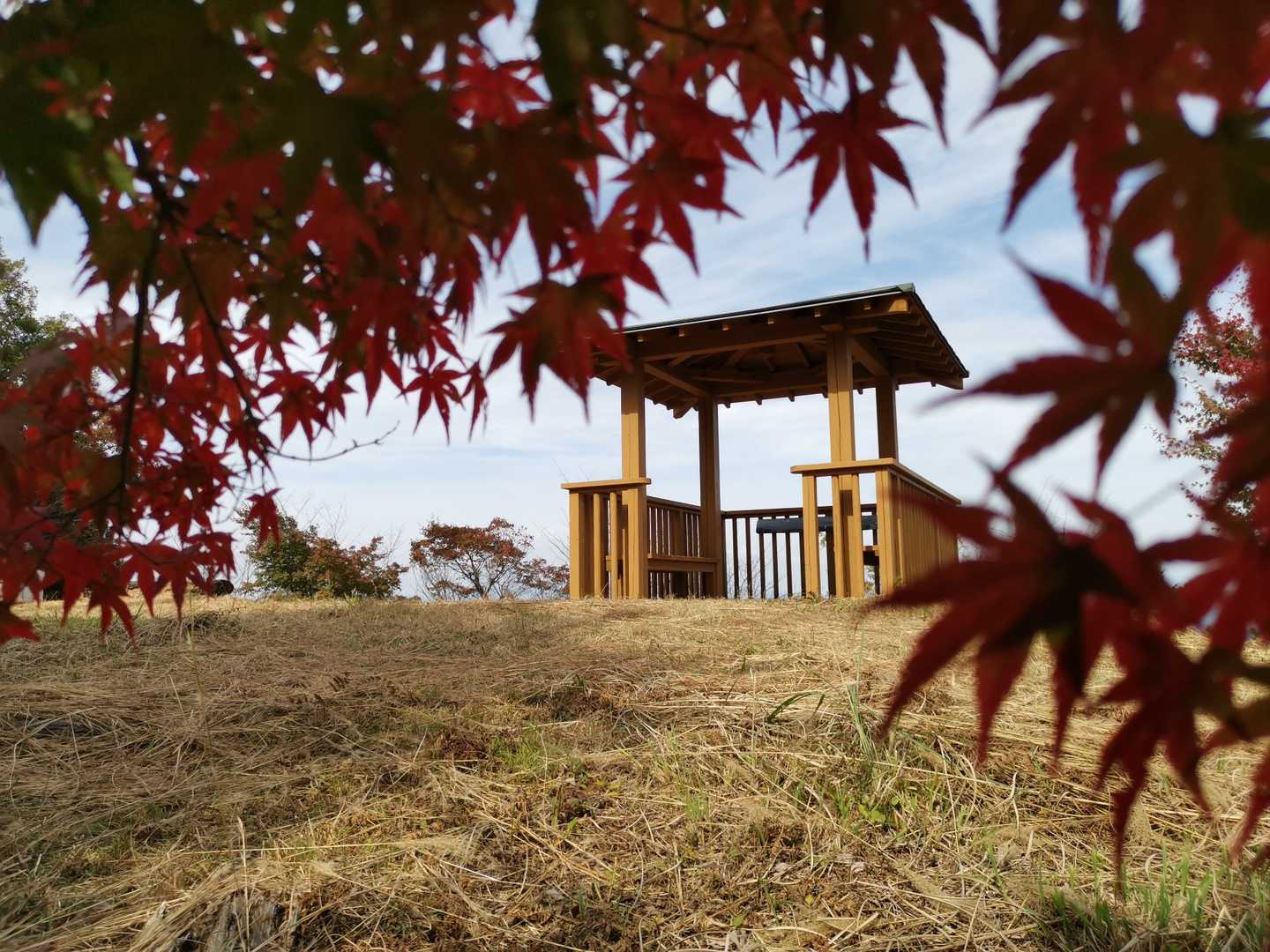 山頂🍁