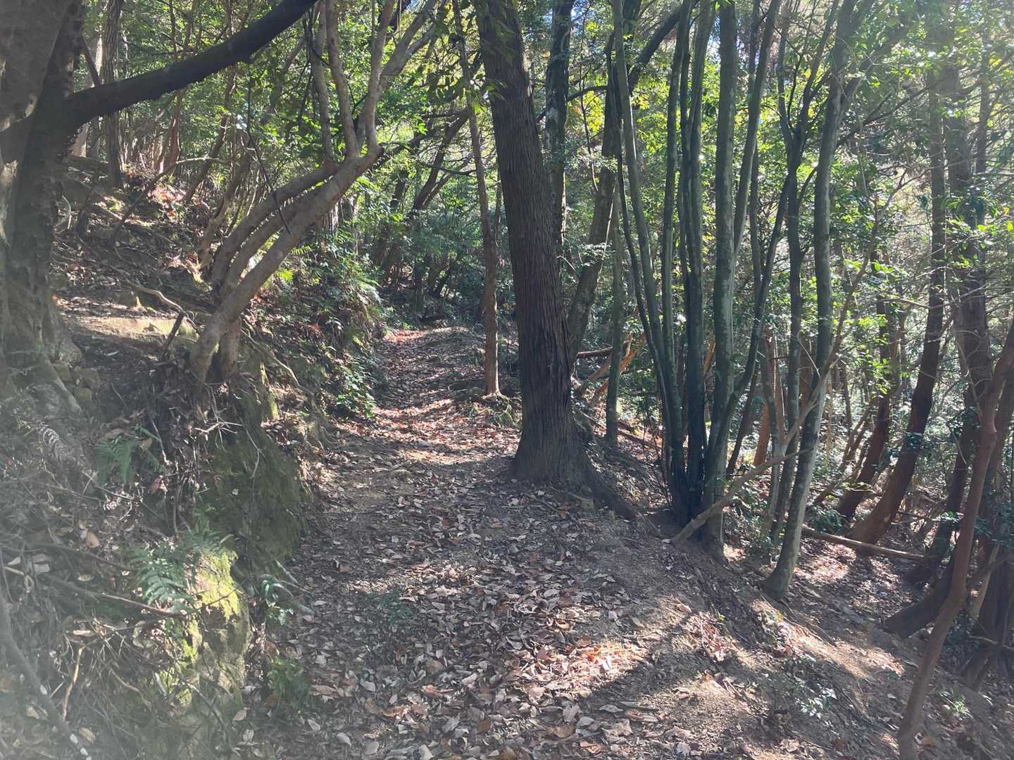 道もきれいに整備されてます