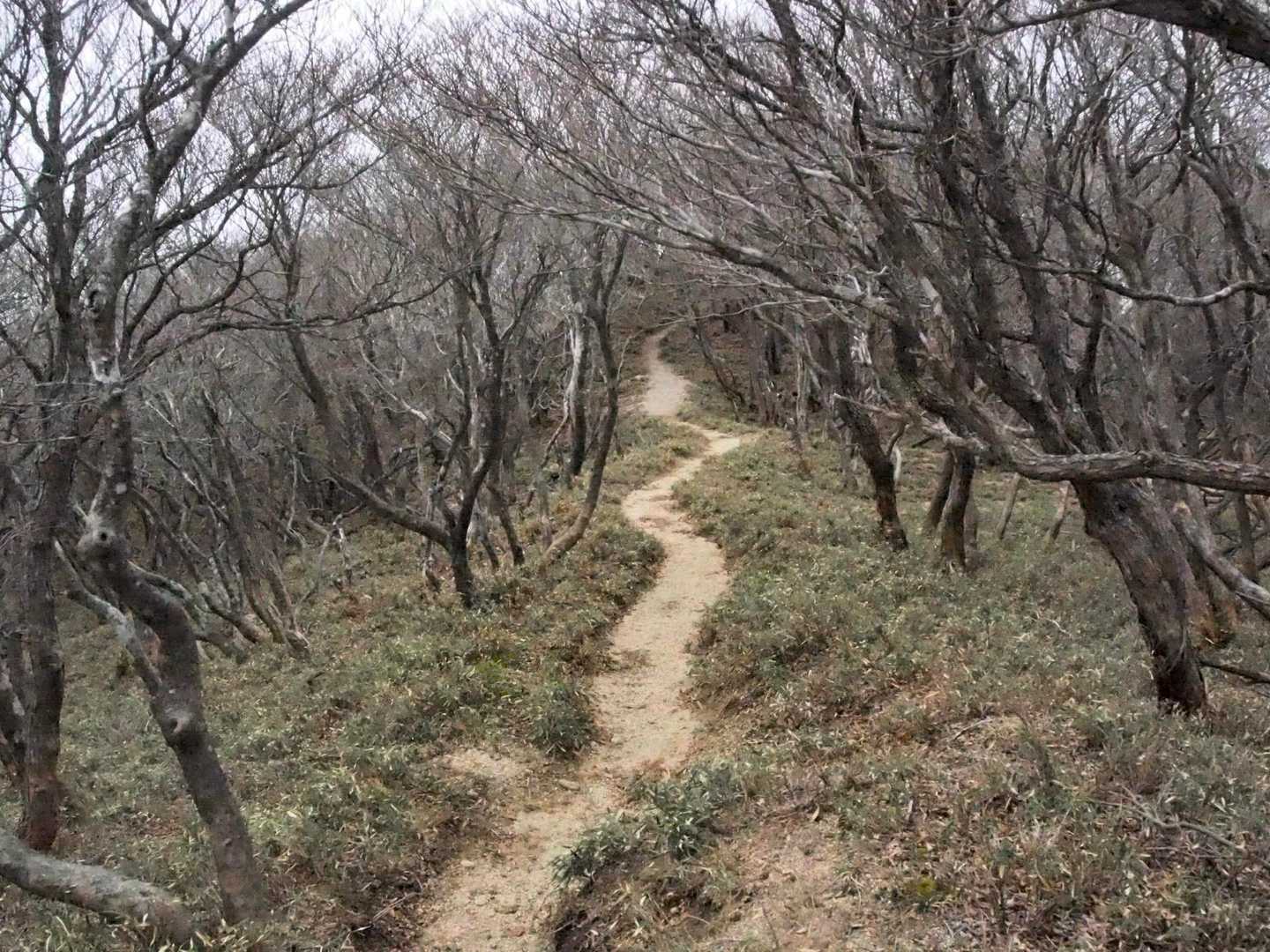 気持ちのいい道を歩いて帰ります