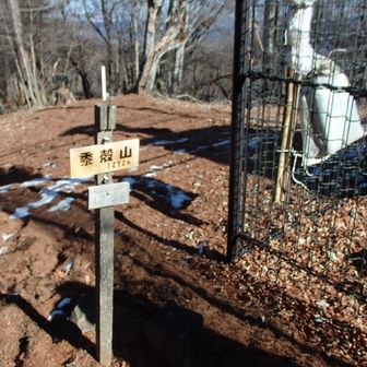 黍殻山頂上