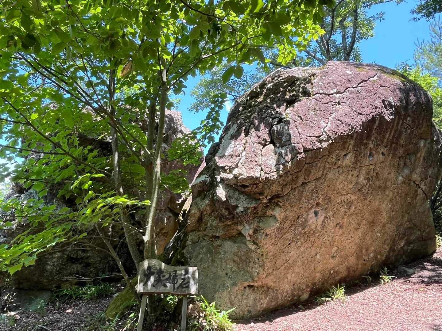 大夫婦岩
隣りに赤ちゃん岩があるので、家族岩にしたらいいのにね、と友人と勝手なことを言っていました