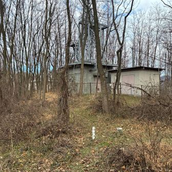 登山道からわずかに外れた場所に
ピークと思われる2等三角点がありました！
ここが鳥居山でしょう🤗