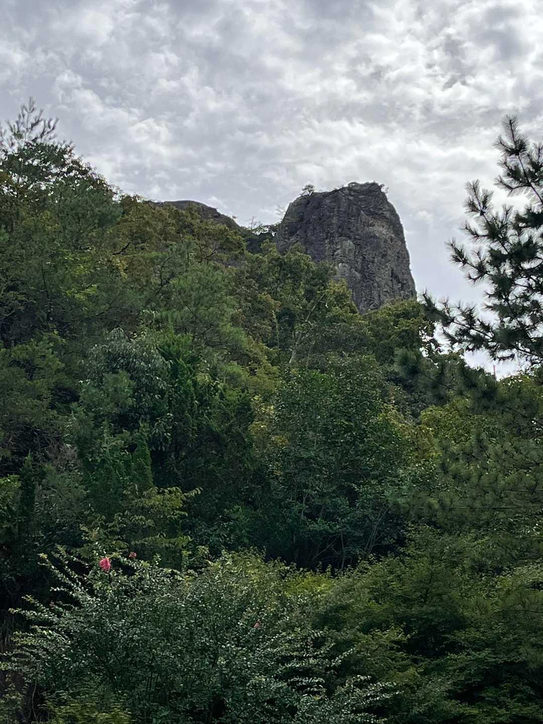 登山口から臨む百丈岩。
どうやってあれに登るんでしょう⁇
