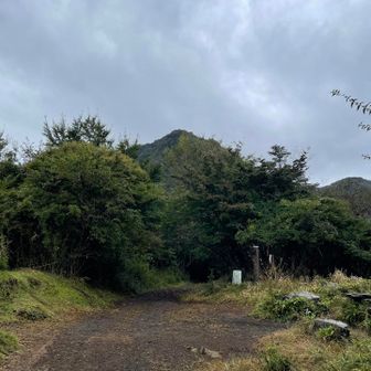 丸鉢山から、目指す金時山⛰️