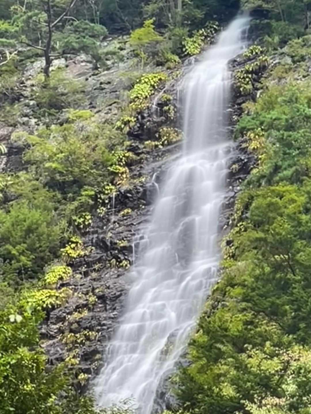 甲州高尾山 | 大滝不動尊から辿る、緑の静寂を味わうコースの写真