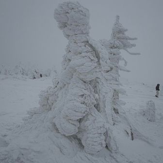 モンスター祭りを楽しんだ後、下山する事に。♨️だー！
