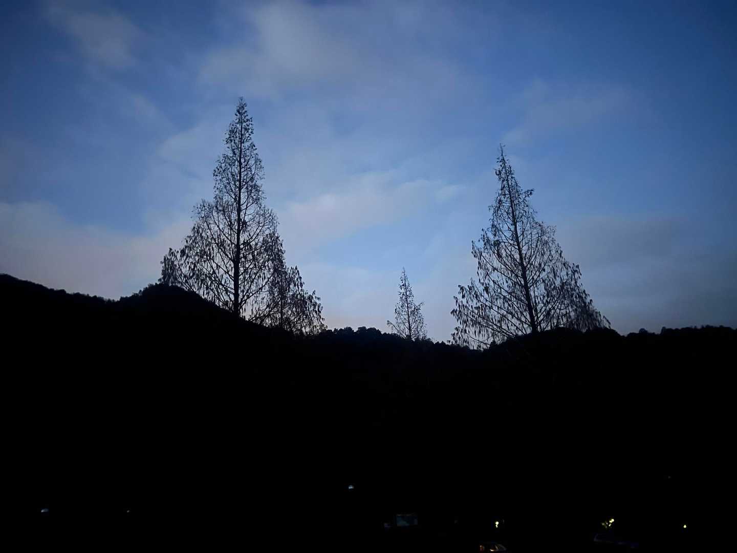 百々ヶ峰 往復コースの写真