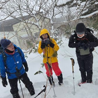 今回はロープウエイ山頂駅で引き返します。
ここから先はもう少し樹林帯が続きますが、山頂目指して稜線に出たとたん、遮る高木がなく、今日は身動きとれない程の強風が吹き荒れてると思います。
後ろに見えてるのがロープェイ山頂駅
（今は動いてないです）