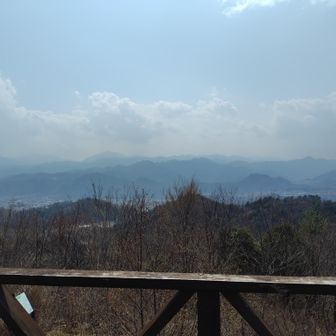 今日は霞んでいて残念ながら富士山は見えませんでした・・・。