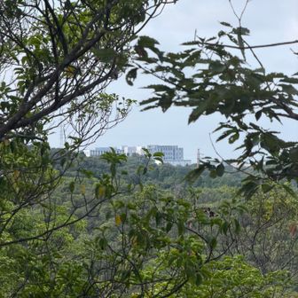 愛知工業大学🏭かな