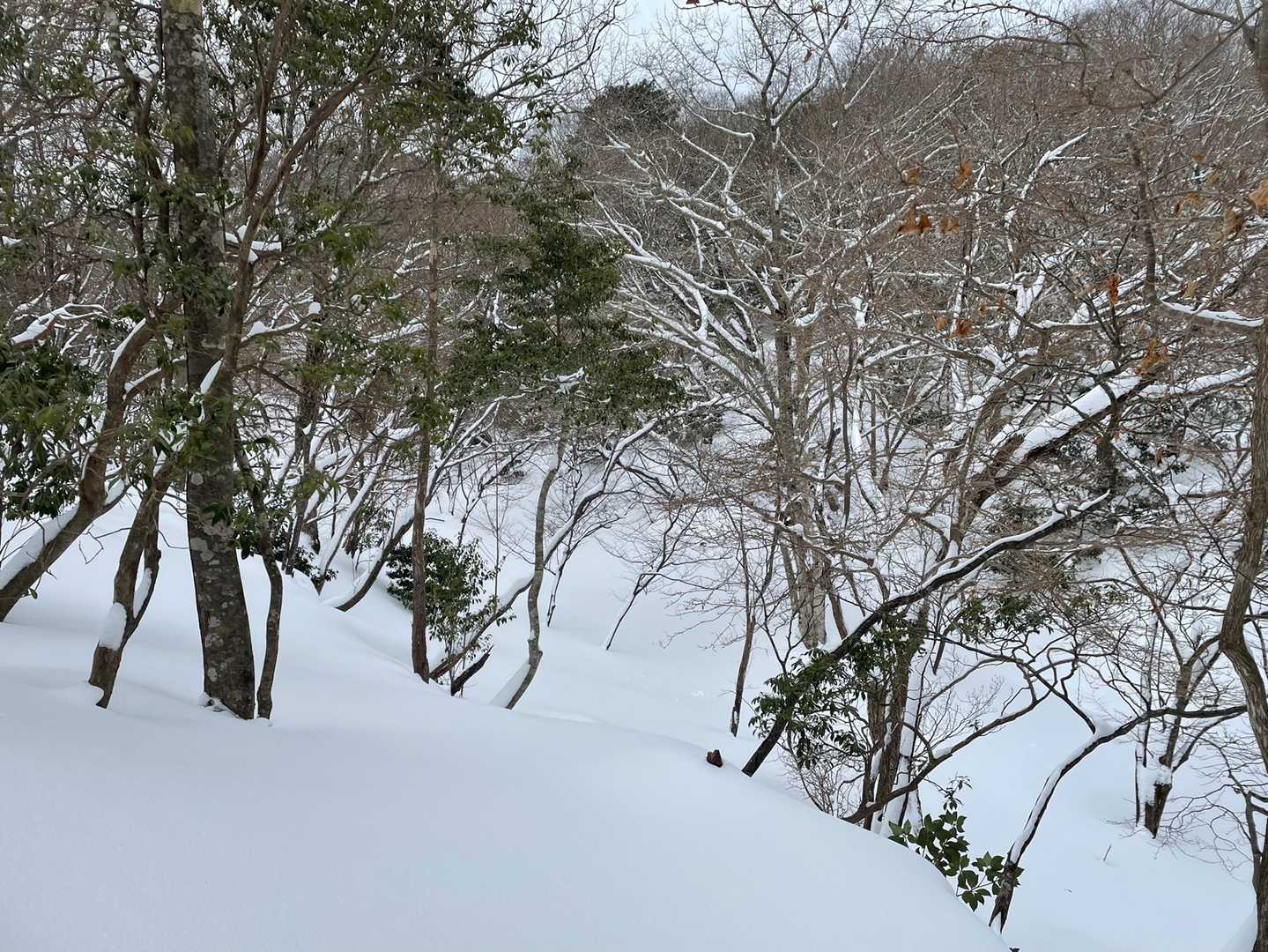 ここからワカンを装着して進みます。