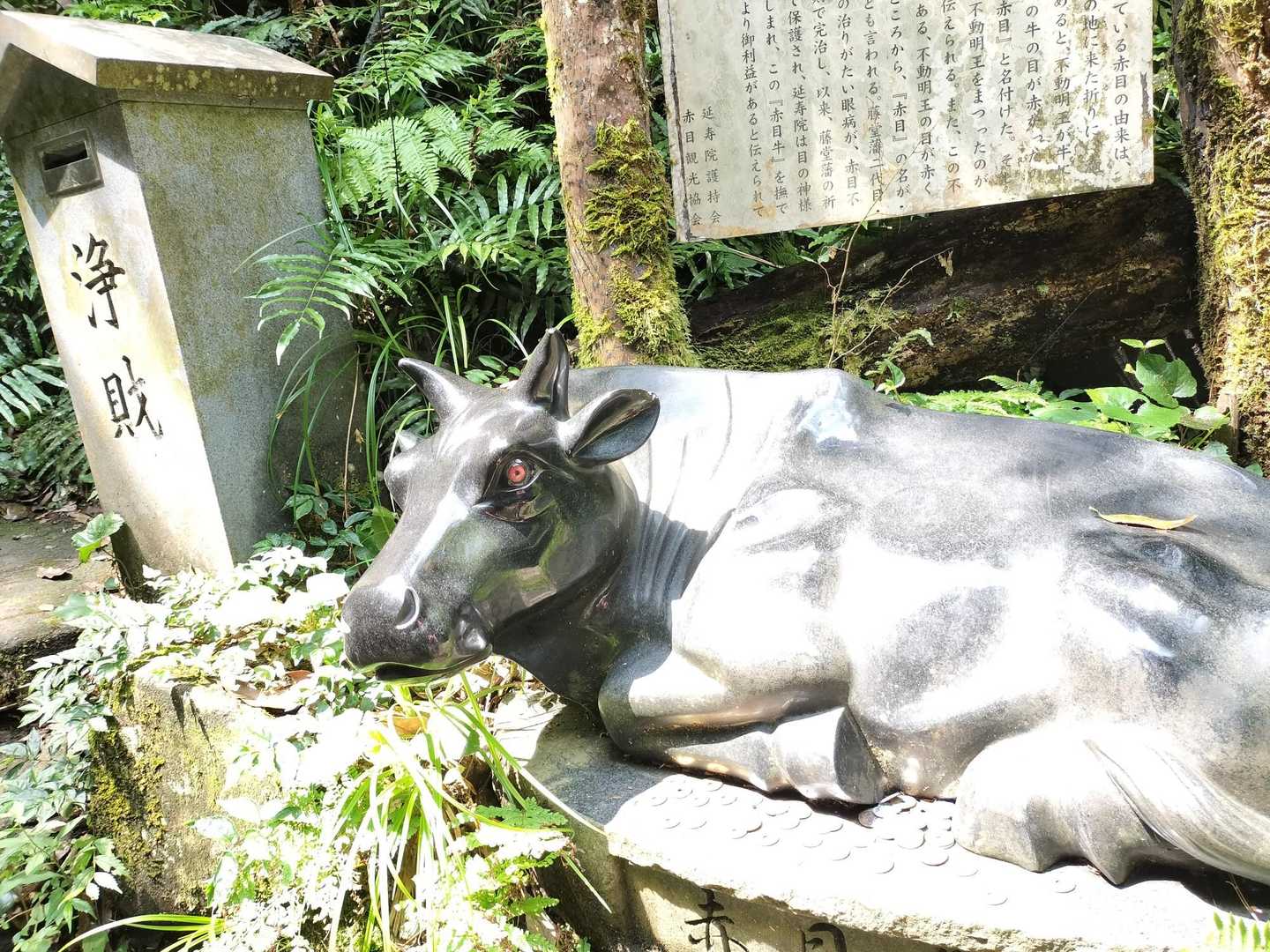 【赤目四十八滝】数々の滝・岩・淵が連続する変化に富んだ山歩道の写真