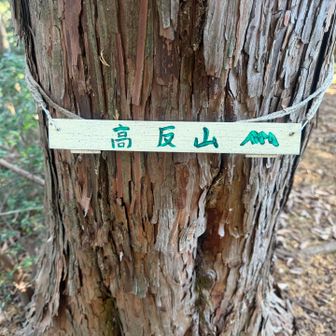 ルートから少し離れて高反山
もちろん飯能百名山ね