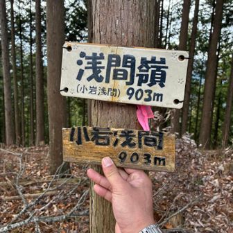 「浅間嶺（小岩浅間）903m」山頂標識
