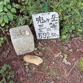 三角点にも小リスたっち🐿️