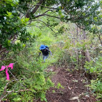 ぐり𖤣𖥧𖥣｡𖥧𖧧