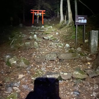 暗くて良くわからん