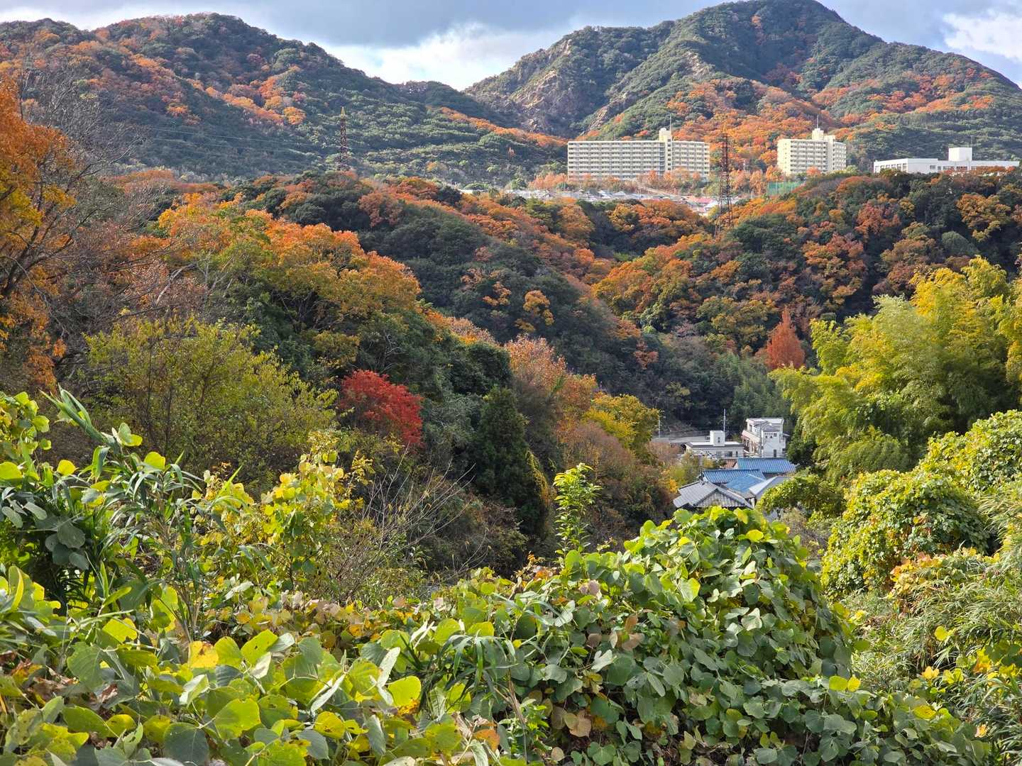 地下鉄妙法寺駅から出発🚶‍♀️
六甲縦走の案内が至るところにあり、迷うことなく登山口に行けます