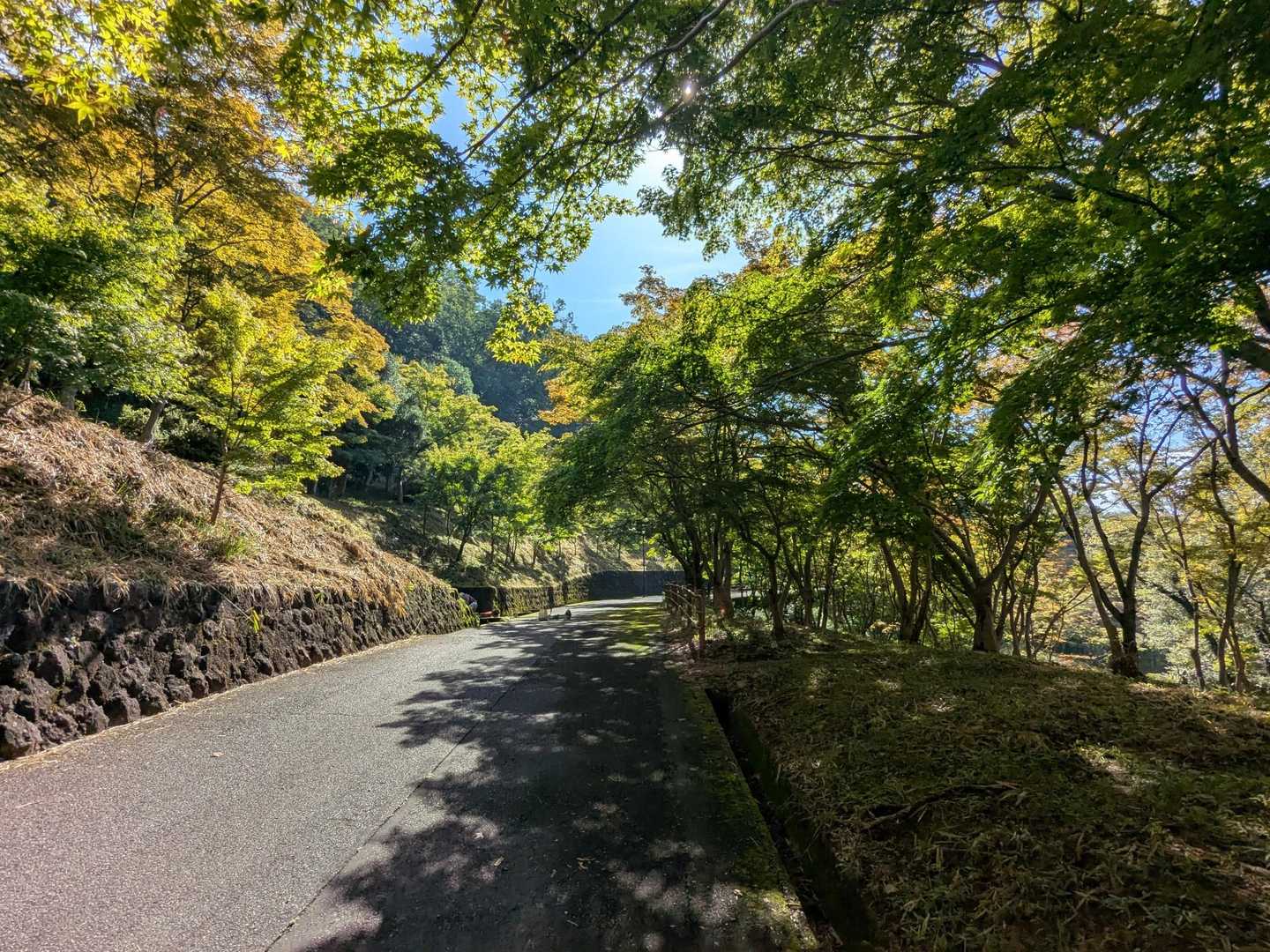 織姫公園発着｜両崖山 往復コースの写真