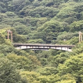 ボランティアガイドさんに聞いたところ、あちらに見える線路も既に廃線となっているそうで
