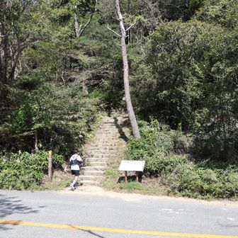 ここで車道を抜けますが、こういうことの繰り返しがこれから続きます。