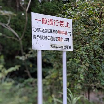 一般車は入れません