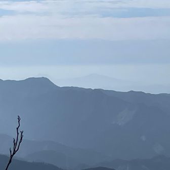 遠くの山が見えました。どこだろう。