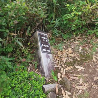 帰りに小倉山山頂へ