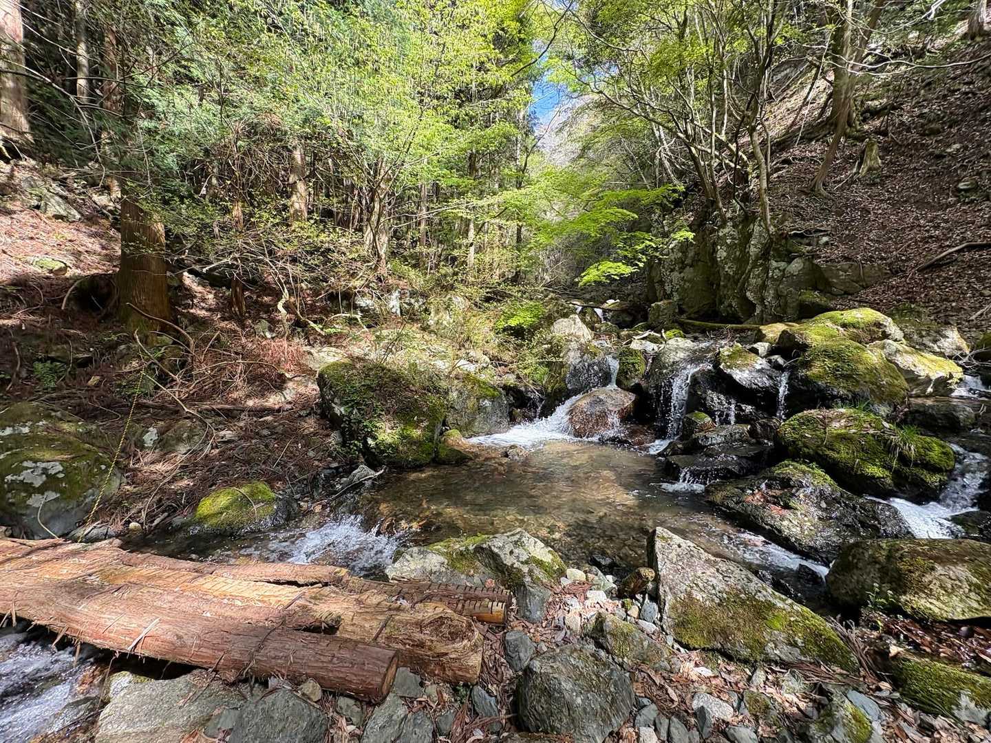 このお山、渡るところがどこも絵になるくらい美しい🌿✨