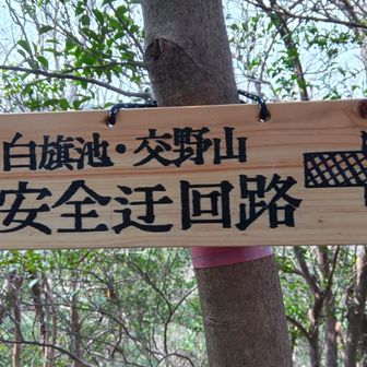 安全に迂回路を😅