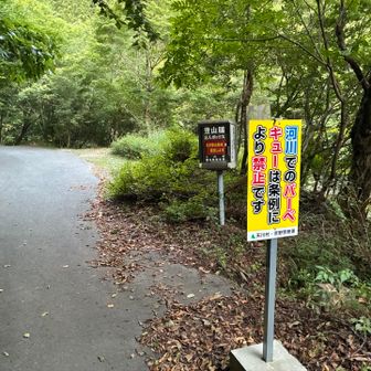 ゴールです。