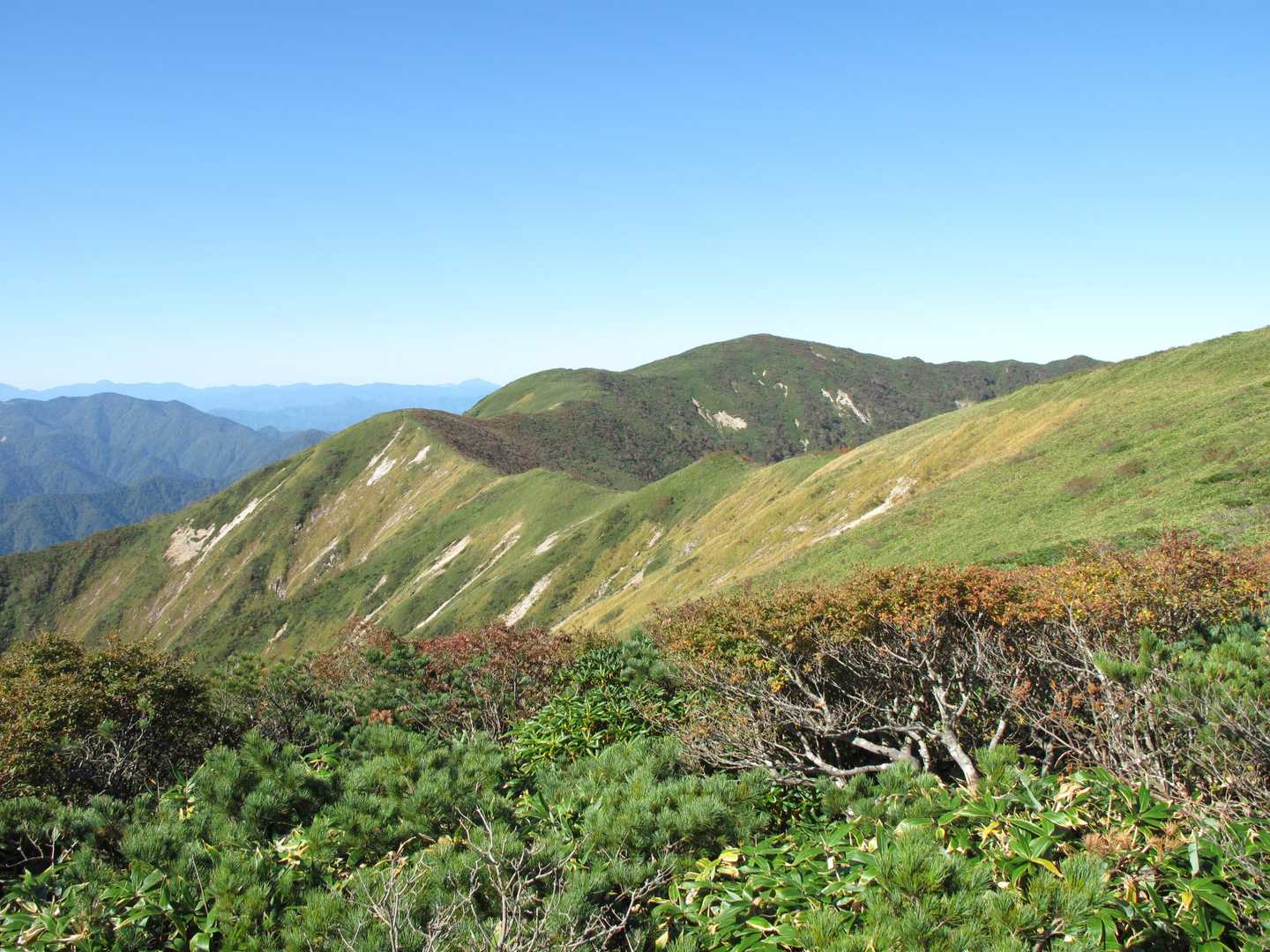 大倉山への稜線歩き
ルートが顔を出す!!