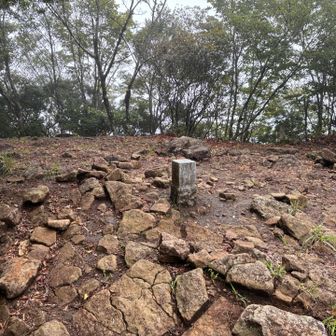 倶留尊山に到着！
山頂の標識はなし？
見つけられませんでした