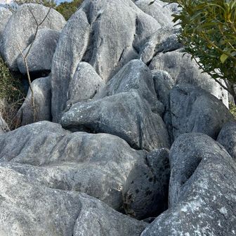 岩の上を進みます