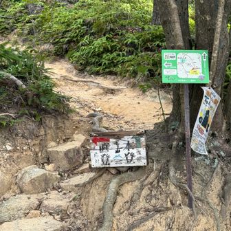 こっち👈は危対⚠️