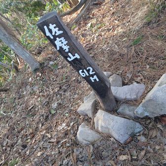 孝霊山はもちと上👆️