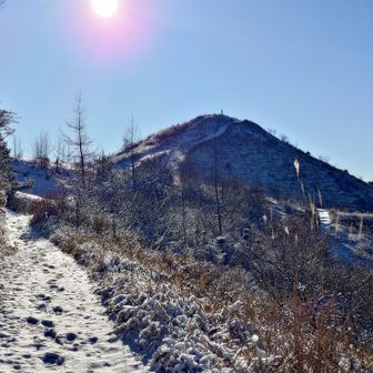 飯盛山へ続く気持ちのいいトレイル