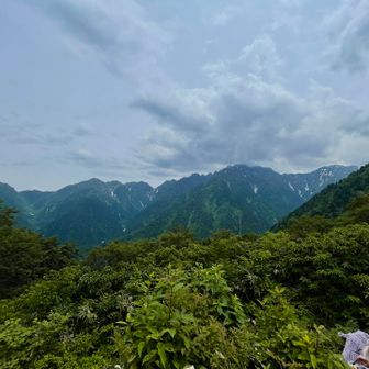 隠れ始めてた