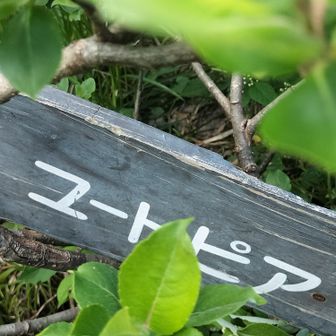 岩の上が象ケ鼻
ユートピアの方へ